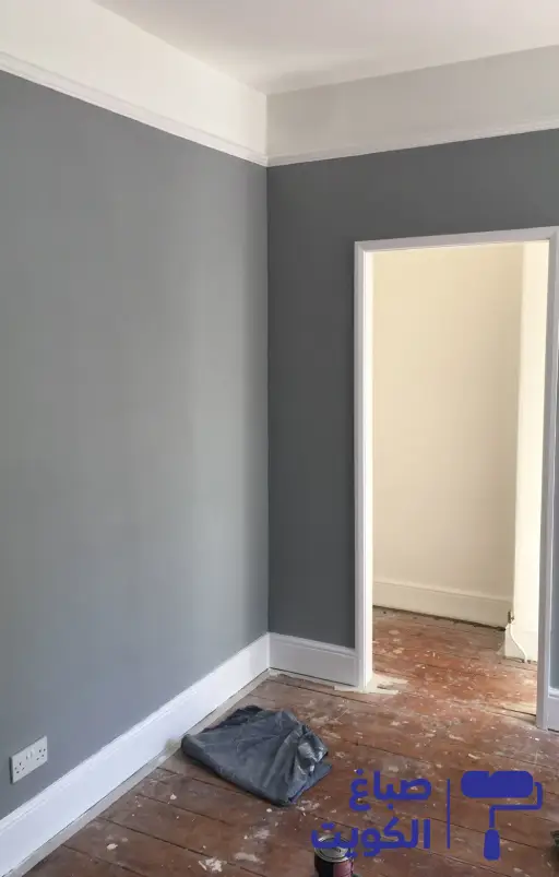 ارخص صباغ المنطقة العاشره,صباغ هندي المنطقة العاشرة,صباغ رخيص بالمنطقة العاشرة