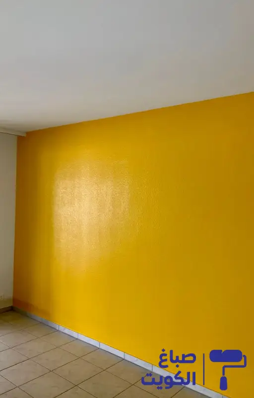 ارخص صباغ المنطقة العاشره,صباغ هندي المنطقة العاشرة,صباغ رخيص بالمنطقة العاشرة