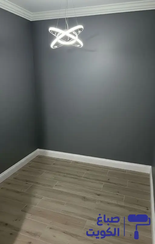 ارخص صباغ المنطقة العاشره,صباغ هندي المنطقة العاشرة,صباغ رخيص بالمنطقة العاشرة