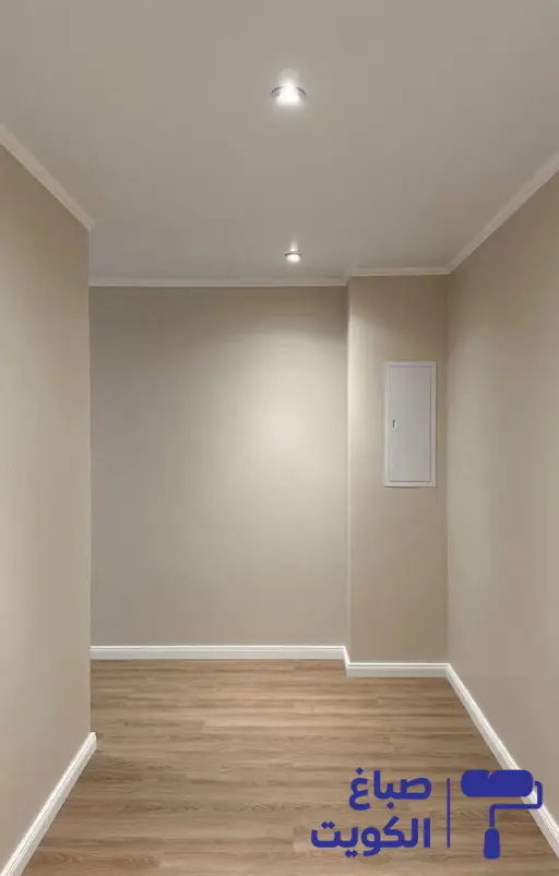 صبغ بدون رائحة,صبغ بدون ريحه,صبغ جدران بدون رائحه
