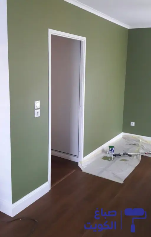 صبغ بدون رائحة,صبغ بدون ريحه,صبغ جدران بدون رائحه
