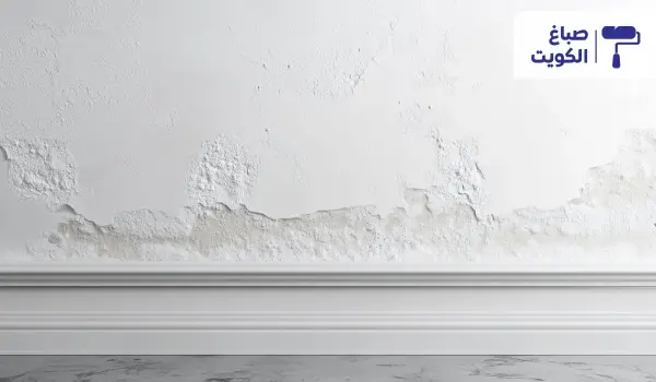حل تقشير الدهان بعد فترة قصيرة, أسباب ظهور الرطوبة في الحوائط وطرق علاجها, أفضل نوع دهان يتحمل حر الكويت
